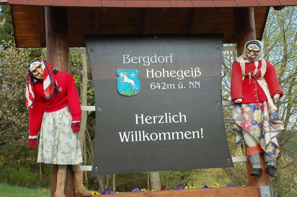 Panoramic Apartments Hohegeiß Esterno foto