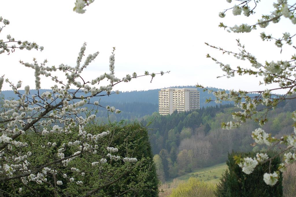 Panoramic Apartments Hohegeiß Esterno foto