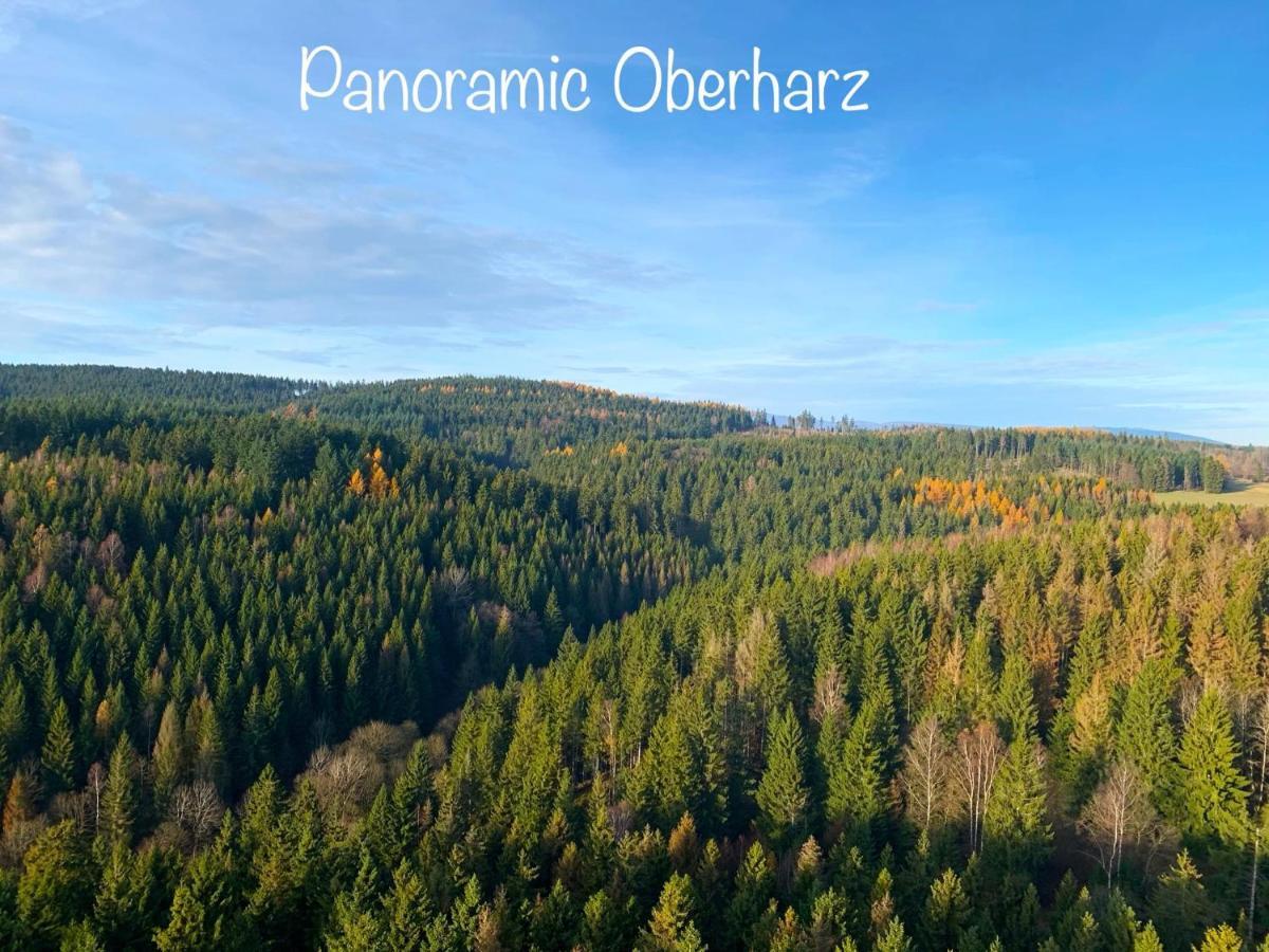 Panoramic Apartments Hohegeiß Esterno foto